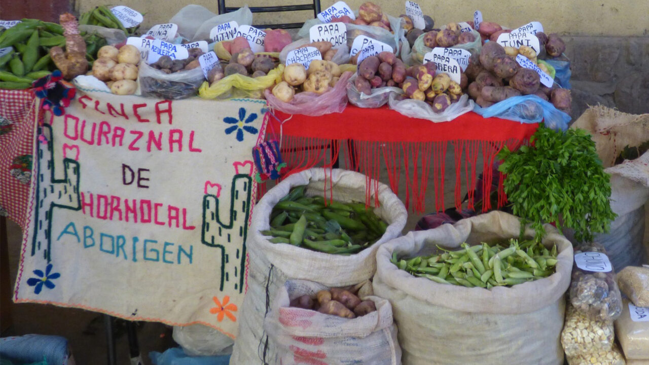 48° Edición de la Feria Agricola de la Quebrada