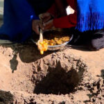 Pachamama Web2